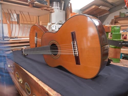 Guitar in Scottish Flow Country and Hard Goodbyes