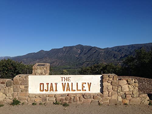 Ojai Pixie Tangerines | Fresh Seasonal Tangerines (4Lbs) #TOP4