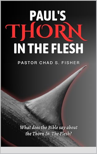 PAUL'S THORN IN THE FLESH: What does the Bible Say about the Thorn in the Flesh?