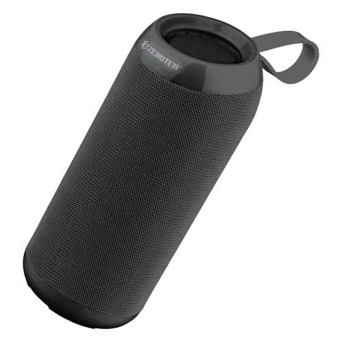 ZEBSTER Drum 2 Portable Bluetooth Speaker with 8W Output, Bluetooth 5.0, USB, SD, FM Radio, TWS Function and Call Function(Black)