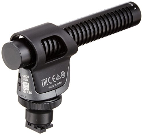 Image of Canon DM-100 Directional Stereo Microphone