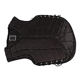 POENVFPO Chaleco Ecuestre, Armadura de una Pieza con Capa Exterior de Nailon y Espuma Anticompresión, Diseño de Contorno Curvo para Protección de Equitación para Adultos (M)