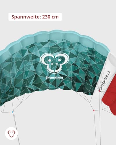 Lenkmatte 4-Leiner Skymonkey Windtrainer 2.3 Trainer-Kite