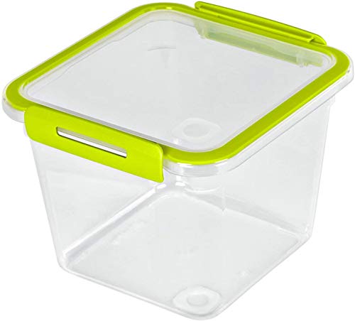 Rotho Memory Barattolo Quadrato per Alimenti Freschi con Coperchio, Plastica (PP) senza BPA, Trasparente/Verde, 1.6 L, 16.0 x 15.0 x 12.1 cm