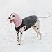 MHaustlie Hundepullover Großer Hund Rollkragenpullover Windhund Hundepullover Rot Warm Strickpullover Hund Groß Fleece Hunde Pullover Winter Warme Sweatshirt Hunde Wintermantel (Dunkelgrau, 3XL)