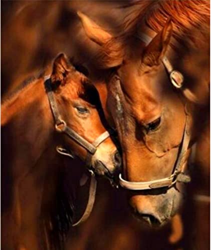 Peinture au diamant 5D cheval kit complet broderie point de croix strass 30x40cm