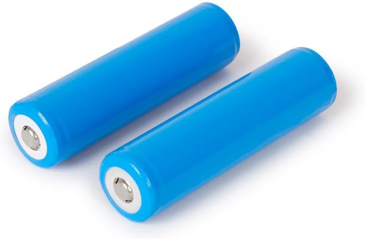 Two blue cylindrical rechargeable batteries.