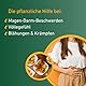 Carvomin pflanzliche Verdauungstropfen bei Magen-Darm-Beschwerden, Blähungen, Völlegefühl & Magenkrämpfen - mit natürlichen Bitterstoffen und ohne Schöllkraut - 50 ml