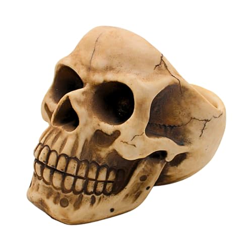 Teschio Organizzatore in Gres con Portaocchiali e Vano Portaoggetti Dimensioni LxPxA 16x20x17cm 20 cm beige