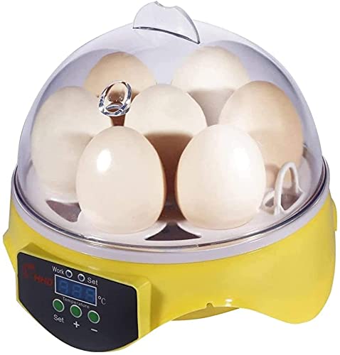 Mini Digital Egg Incubator Automatische ei Draaien Temperatuurregeling, 7 Eggs Poultry Hatcher voor kippen Eenden vogels… - Afbeelding 3