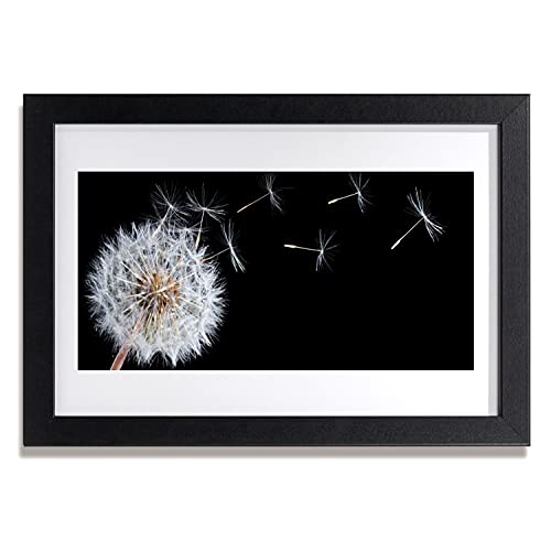 Photo image fleurs de pissenlit affiche encadrée salon et chambre