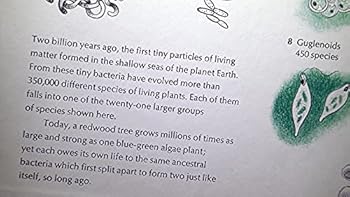 How plants began (World ecology for young readers)