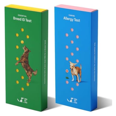 DNA MY DOG – Ultimate Health & Breed Bundle | Canine Allergy Test (120+ Allergens) & Breed ID Test (350+ Breeds) | Non-Invasive Cheek Swab, Fast Results, Detailed Reports & Personalized Tips Cover