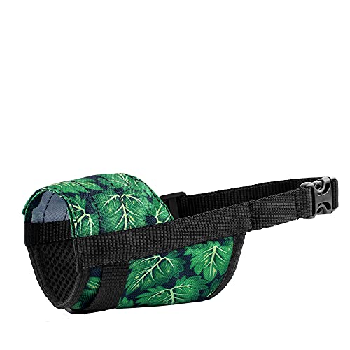 https://m.media-amazon.com/images/I/417NEiMS3CS._SL500_.jpg