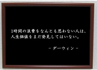 Amazon Co Jp ダーウィン ポスター グッズ 雑貨 名言 格言 啓蒙 座右の銘 偉人 グッズ 雑貨 インテリア ホーム キッチン