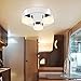 Facon 8-Inch LED Ceiling Dome Light Fixture Decorative RV Flush Mount Lamp, 3 LED Lights with Acrylic Lens, 12V DC Interior Light for RV Motorhome Trailer Camper