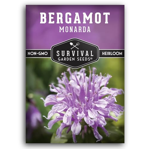 Bee Balm Seeds for Planting - Wild Bergamot Survival Garden Seeds (1 Pack)