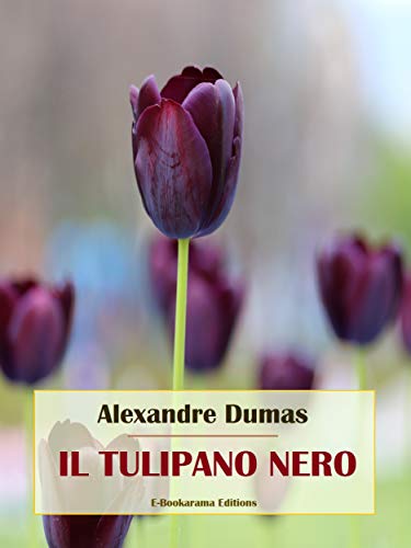  Il tulipano nero