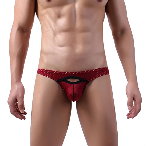 Evankin Mens Sexy Mesh Briefs Black Fun Button Removable Pouch Underwear Low Rise Breathable Lingerie