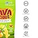 Nuttee Bean Favalicious Fava Bean Snacks - Roasted Fava Beans, Vegan Plant Based Snacks, Healthy Snacks for Adults and Kids, Wasabi and Ginger, 2 Oz (Pack of 12)