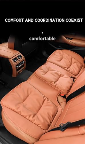 Soulagement de la douleur du coccyx avec coussin auto marron