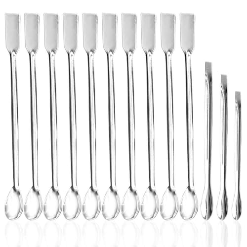 Spatule de laboratoire 2-en-1 en acier inoxydable robuste avec mini cuillères de précision