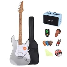 Electric Guitar Kit -39in Solid Body Starter Guitar Kit with Metallic finish, Guitar Case, Amplifier Gig Bag, Strings, Strap, Cable, PicksSilver