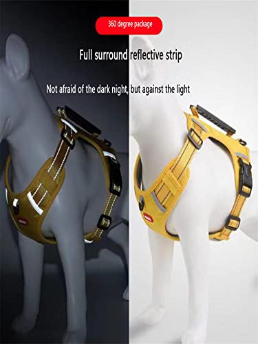 Mascotas, Imagen adicional