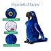 The Petting Zoo Hyacinth Macaw Stuffed Animal Plushie, Gifts for Kids, Earth Keeperz Rainforest Animals, Zoologee Blue Hyacinth Macaw Plush Toy, 12 inches