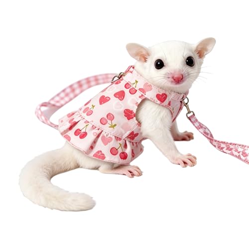 Laisse Élastique Anti-Traction pour Petits Animaux,...