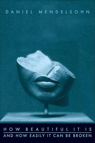 How Beautiful It Is And How Easily It Can Be Broken: Essays