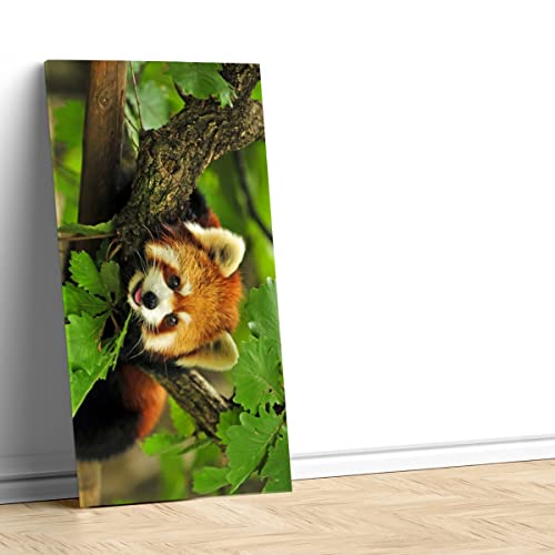 Tableau panda roux décoration murale pour réveiller un mur vide - 4