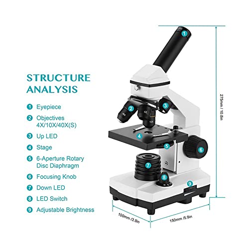 Microscope Monocular Biological Microscope 64-640X Up/Down for Cells Slides Watching Students Kids Education Gift