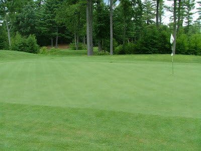 Outsidepride PC2.0 (Penncross) Creeping Bent Grass Seed – 2 lbs. Premium Golf Co