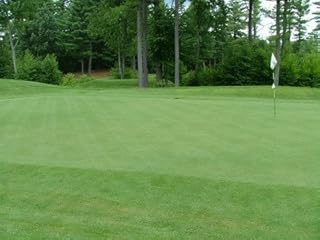 Outsidepride PC2.0 (Penncross) Creeping Bent Grass Seed – 2 lbs. Premium Golf Course Grade, Dense, Wear-Resistant Turf Grass Seeds for Tees, Putting Greens & Fairways, Ideal for High Traffic Areas