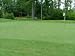Outsidepride Penncross Home Putting Green Creeping Bent Grass Seed - 2 LB