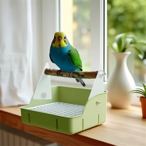 Support d'entraînement pour conure contre l'ennui avec perchoir de table - 7