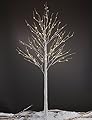 LIGHTSHARE 8FT 132 LED Birch Tree,Home,Festival,Party,Christmas,Indoor and Outdoor Use,Warm White