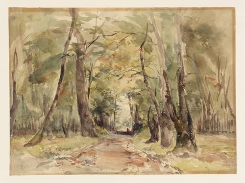 Forêt de Fontainebleau Affiche Graffiti Art Mural pour Salon Lumineux et Chambre Moderne