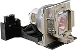 PHO 59.J9901.CG1 / 65.J8601.001 Genuine Original Replacement Bulb / Lamp with Housing for BenQ PB6210 PB6215 Projector (OEM Ushio Bulb)