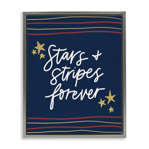 Stars Stripes Forever Americana, 24 x 30 Inch Canvas in Floater Frame