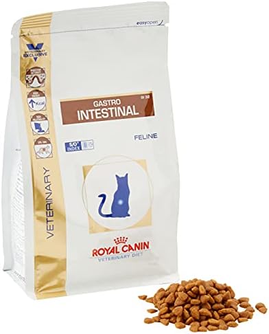 gastro intestinal feline