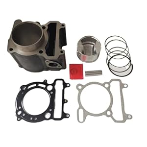 QASULER 69 mm Zylinderkolbenringsatz Majesty YP250