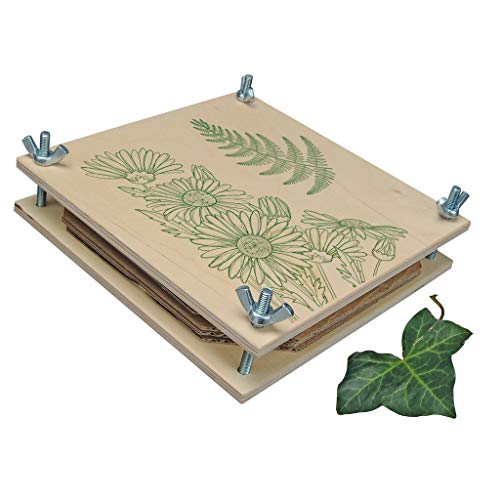 Wiemann Lehrmittel Kleine Pflanzenpresse, 6 Einlegeplatten, 19,5 x 19,5 x 4 cm – Bild 4