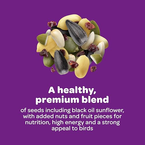 Kaytee Nut & Fruit Wild Bird Seed, 5 lb by Kaytee - Image 6
