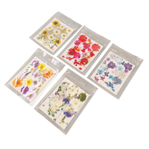 Kit de flores prensadas Pissente, colección vibrante para manualidades miniatura 4