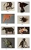 Animal Origami for the Enthusiast: Step-by-Step Instructions in Over 900 Diagrams/25 Original Models (Dover Crafts: Origami & Papercrafts) #1