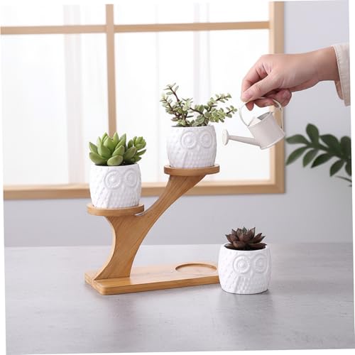 Support de plante de bureau anti-taches pour petits pots fleurs de table
