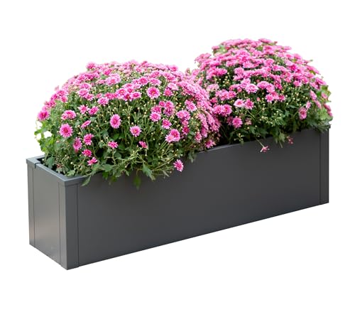 WESTMANN Pflanzkasten Talus M | Metall Pflanzkübel rechteckig...