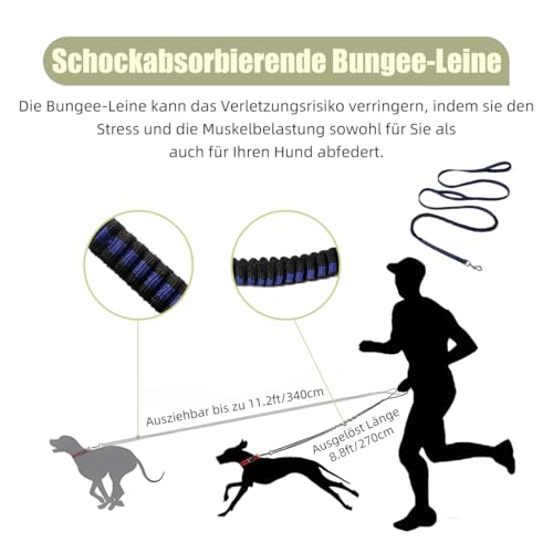 Mi Metty Hundeleine, 8ft Bungee Hundeleine mit 2 Gepolsterten Griffen, Starke Hundeleine,Leine Hund für Mittelgroße, Große Hunde (Schwarz-2pack, 8ft/2.5m)
